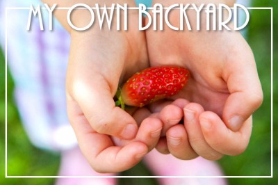 Winner-Laura-NoCureForCuriosity-Strawberry-PostcardFront (Foto Flip Friday: Follow Your Dreams (The WINNERS!!!))