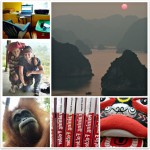 01-1000DaysCollage-Nov11-Jan12 (1,000 Days of Roaming the Globe!)