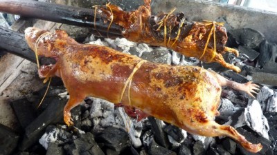 2CuyOnStickSlider (The Requisite Ecuador CUY Dinner)