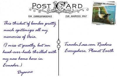 AsianBambooPostcardBack (Foto Flip Friday –  August Theme:  “Yellow”)