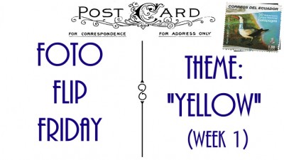 FFFThemeYellowWeek1Slider (Foto Flip Friday –  August Theme:  “Yellow”)