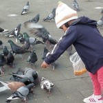 GirlPigeons350 (The Requisite Ecuador CUY Dinner)