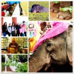 06-1000DaysCollage-Feb-Apr13 (1,000 Days of Roaming the Globe!)
