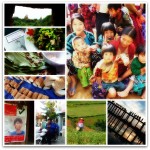 09-1000DaysCollageNov13-Jan14 (1,000 Days of Roaming the Globe!)