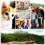 11-1000DaysCollage-May-July14 (1,000 Days of Roaming the Globe!)