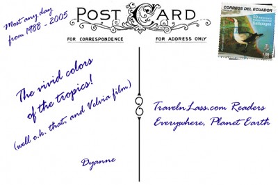 CostaRicaBlueParrotsPostcardBACK (Foto Flip Friday –  October Theme:  “Blue” (Week 1))