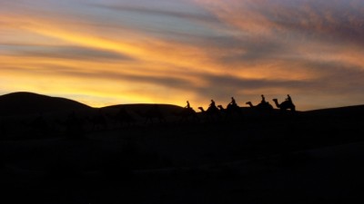 A passing camel caravan (Catching Up Series: Morocco 6 of 8)