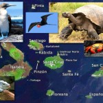 GalapagosCollage678 (6 Month Update on Life in Cuenca (Part 2))