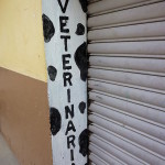 201411ECU-Paute (22)-opt (Turning Lemons Into Lemonade in Paute)