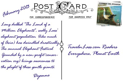 ElephantsInLaosPostcardBACK (Foto Flip Friday –  January Theme:  “ANIMALS” (Week 2…))