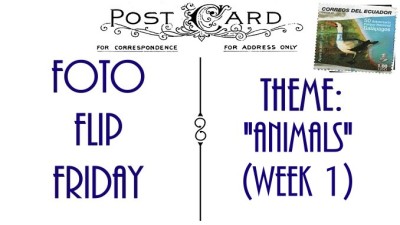 FFFAnimalsWeek1 (Foto Flip Friday –  January Theme:  “ANIMALS” (Week 1))