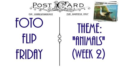 FFFAnimalsWeek2 (Foto Flip Friday –  January Theme:  “ANIMALS” (Week 1))