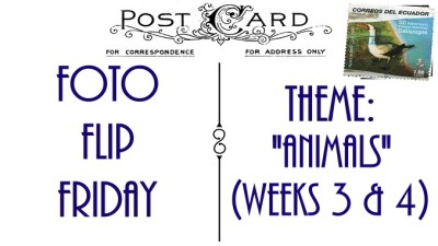 FFFAnimalsWeek3and4 (Foto Flip Friday –  January Theme:  “ANIMALS” (Week 3… and 4))