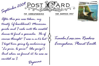 HorsingAroundInEssaouiraMoroccoPostcardBACK (Foto Flip Friday –  January Theme:  “ANIMALS” (Week 2…))