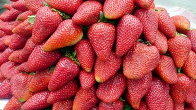 CuencaEcuadorStrawberriesSlider (Cuenca, Ecuador: One Year Ago Today…)