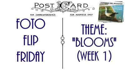 FFF-BLOOMS-WEEK01 (Foto Flip Friday –  April Theme:  “BLOOMS” (Week 1))