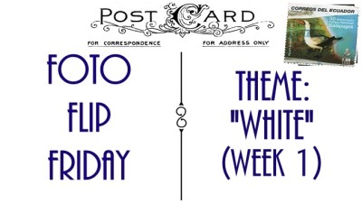 FFFTWhiteWeek01 (Foto Flip Friday –  March Theme:  “WHITE” (Week 1))