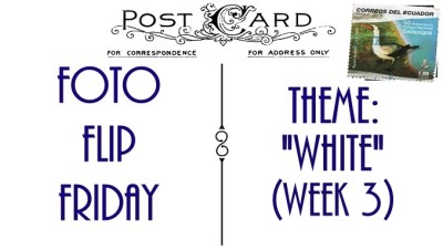 FFFTWhiteWeek03 (Foto Flip Friday –  March Theme:  “WHITE” (Week 1))