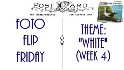 FFFTWhiteWeek04 (Foto Flip Friday –  March Theme:  “WHITE” (Week 1))