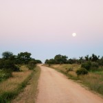 KrugerNationalParkDawn600 (Catching Up Series: South Africa 6 of 6)
