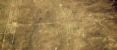 NascaHummingBird (Birthday Dreams)