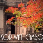 AngkorWatCambodiaBloomsPostcardFRONT (Foto Flip Friday –  April Theme:  “BLOOMS” (Week 3))