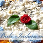 BaliPetalsPostcardFRONT (Foto Flip Friday –  April Theme:  “BLOOMS” (Week 3))