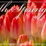 SpringTulipsPostcardFRONT (Foto Flip Friday –  April Theme:  “BLOOMS” (Week 1))