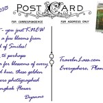 ThailandMargoldBlossomsPostcardBACK (Foto Flip Friday –  April Theme:  “BLOOMS” (Week 2))