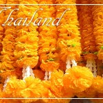 ThailandMargoldBlossomsPostcardFRONT (Foto Flip Friday –  April Theme:  “BLOOMS” (Week 2))