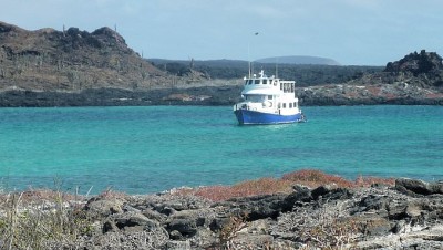 KingOfTheSea02Slider (Cheap Galapagos?  Yup, Youbetcha!)