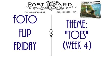 FFF-TOES-Week4Slider (Foto Flip Friday –  July Theme:  “Toes” (Week 1))