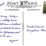 GalapagosFrigatePostcardBACK (Foto Flip Friday –  June Theme:  “Red” (Week 1))