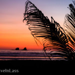 AyampePost11 (Puerto Lopez – Not My Cuppa Tea)