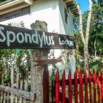 AyampePost8 (Puerto Lopez – Not My Cuppa Tea)