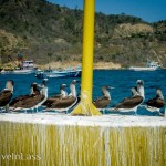 PuertoLopez11 (Puerto Lopez – Not My Cuppa Tea)