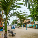 PuertoLopez3 (Puerto Lopez – Not My Cuppa Tea)