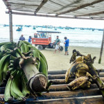 PuertoLopez7 (Puerto Lopez – Not My Cuppa Tea)