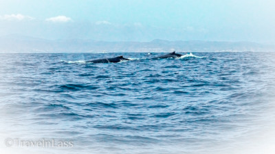 PuertoLopezSlider1 (Puerto Lopez – Not My Cuppa Tea)