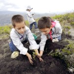 KidsReforestEC-creditThinkPressdotorg (Way Ta Goooo Ecuador!)