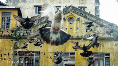 Myanmar-Yangon-Gallery3 (Myanmar Memories: Part I – Yangon)