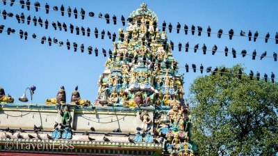 Myanmar-Yangon-Gallery6 (Myanmar Memories: Part I – Yangon)