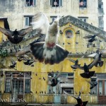 Myanmar-Yangon5 (Myanmar Memories: Part I – Yangon)