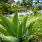 SliceOfExpatLife2 (A Slice of Expat Life in Cuenca, Ecuador)