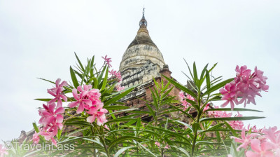 MyanmarBagan22 (Myanmar Memories: Part IV – Bagan)