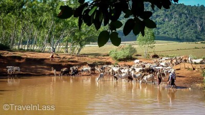 MyanmarHilltribeTrek4 (Myanmar Memories: Part III – Hill Tribe Moto-trek)