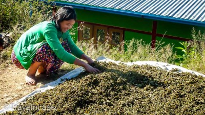 MyanmarHilltribeTrekWedding14 (Myanmar Memories: Part III – Hill Tribe Moto-trek)