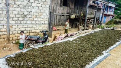 MyanmarHilltribeTrekWedding16 (Myanmar Memories: Part III – Hill Tribe Moto-trek)