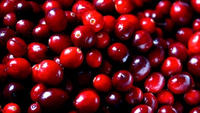 CranberriesSlider (Expat Creativity: Devising Substitutes for Traditional Holiday Eats)