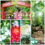 VinalesBotanicalGardenWM1 (CUBA: The Viñales Valley)